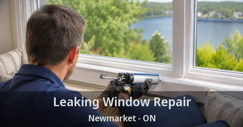 Leaking Window Repair Newmarket - ON